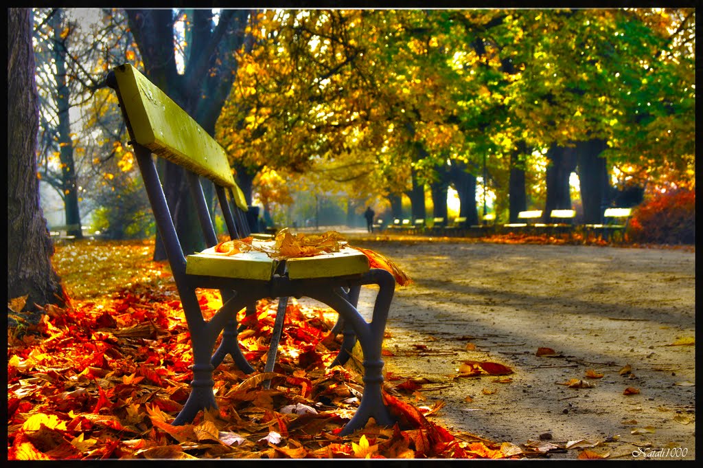 autumn...