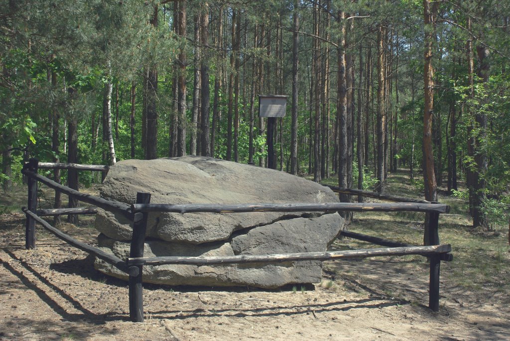 Rezerwat Grabicz - głaz narzutowy. Pomnik przyrody - Głaz Edmunda.