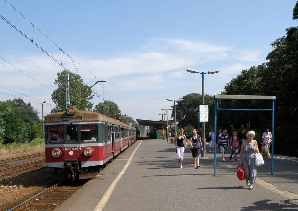 Zielonka