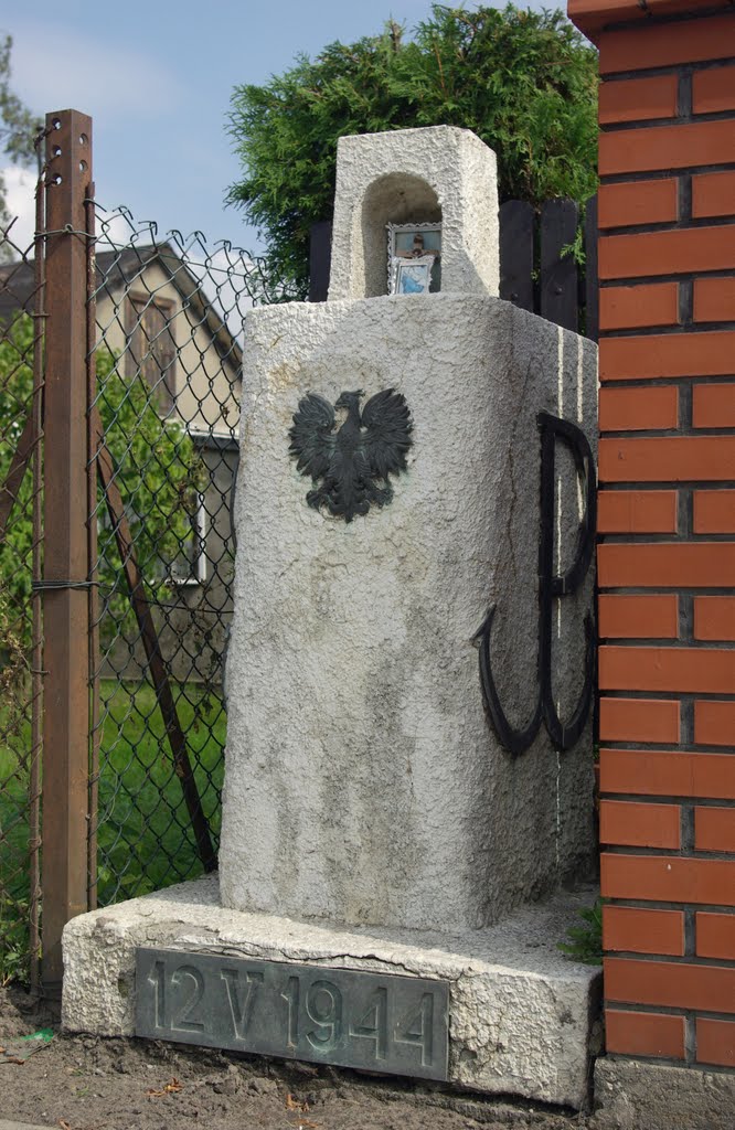 Ukryty wśród parkanów.