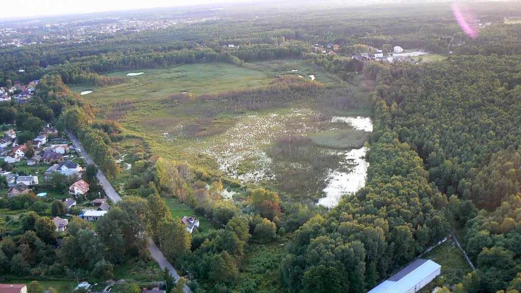 Wołomin-Białe Błota.
