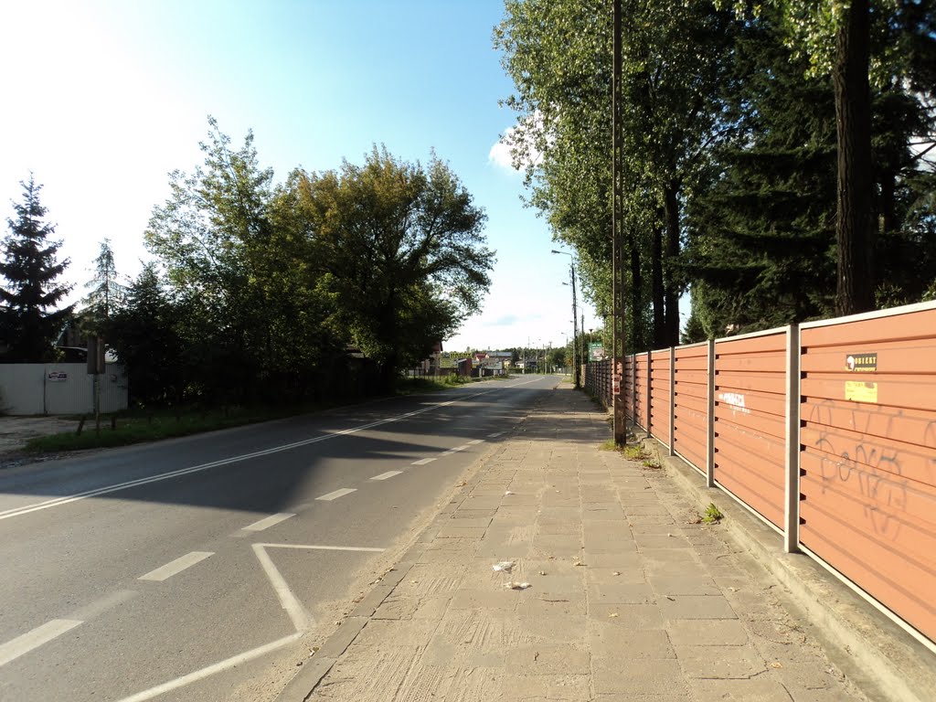 ulica Geodetów