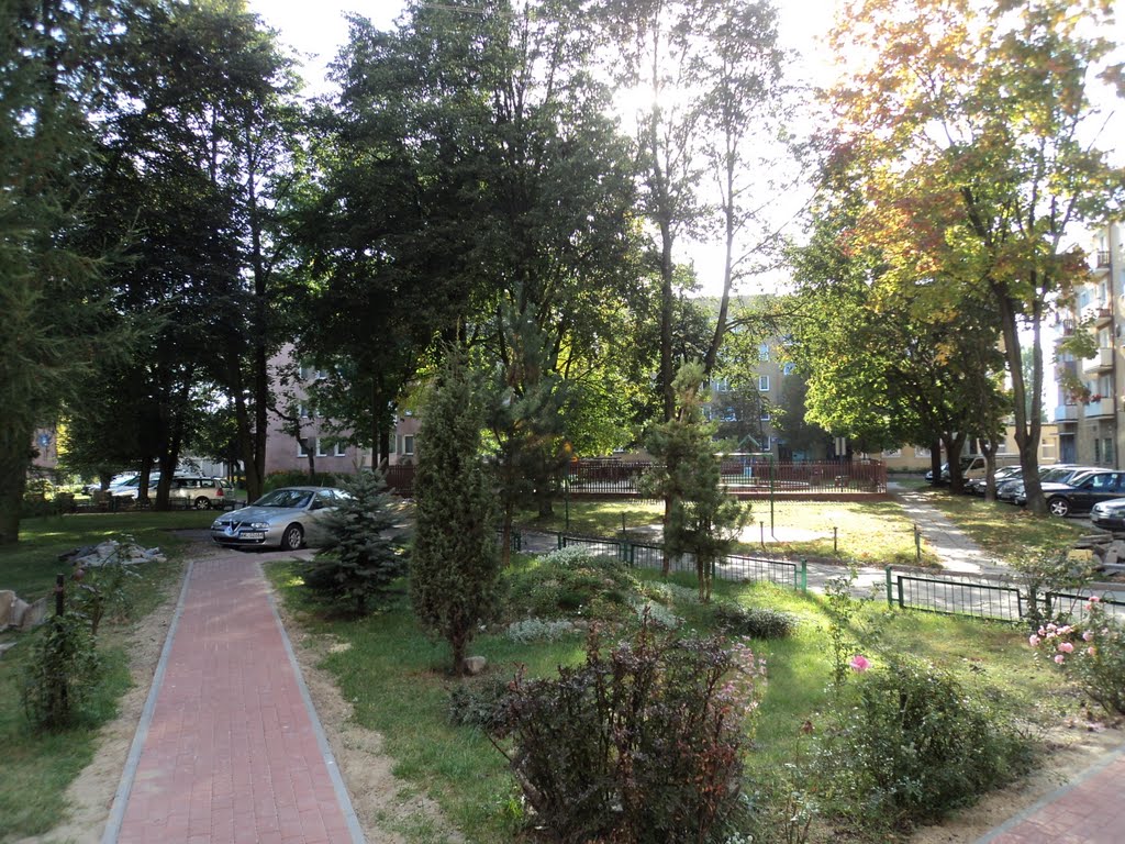 podwórko na osiedlu