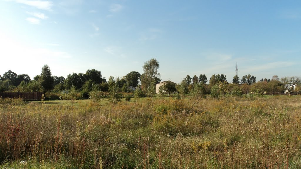 panorama dzielnicy Wołmina-Nowa Wieś