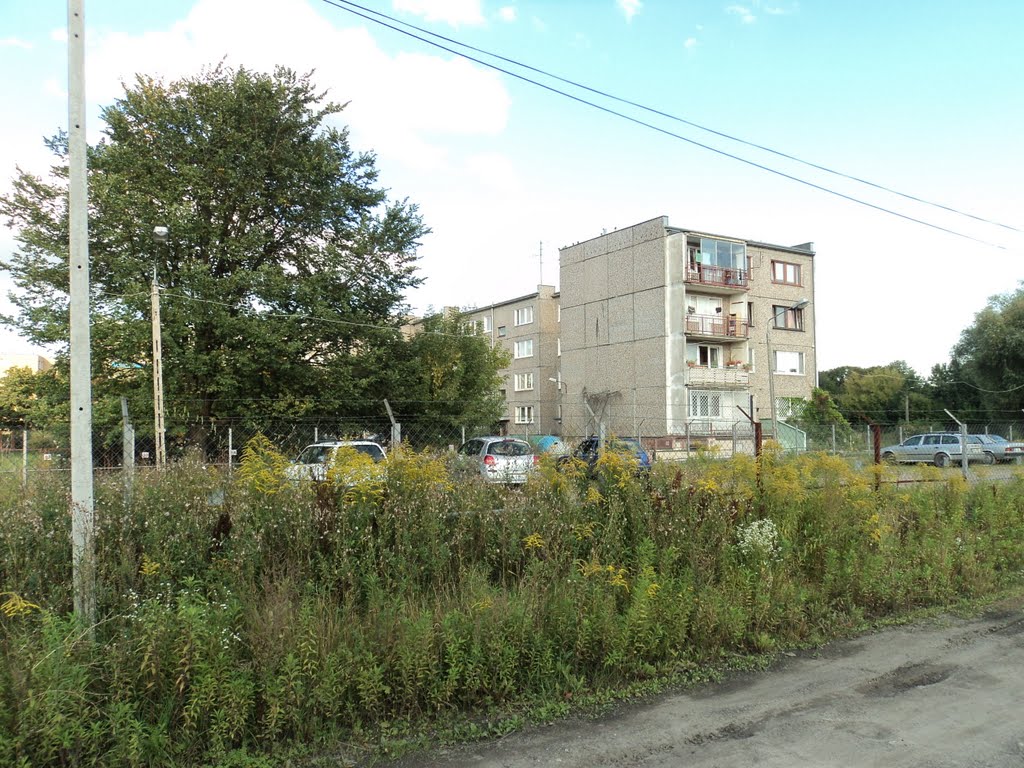 Wesoła