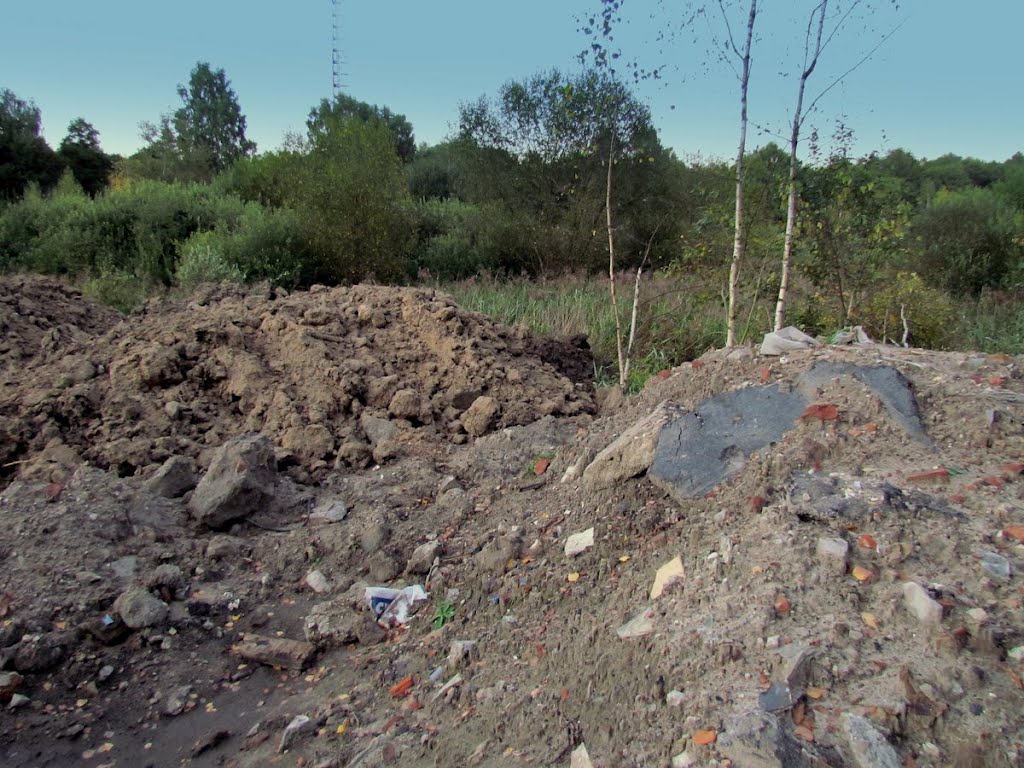 Wołomin,bagienko, widok w kier. ul. Wołomińskiej.