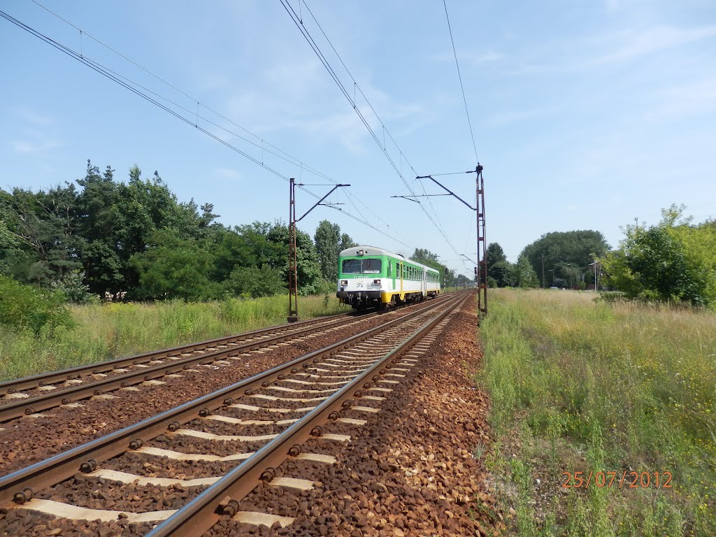 VT628-009 Z TŁUSZCZA DO CZEREMCHY WŁAŚNIE MIJA STACJĘ WOŁOMIN