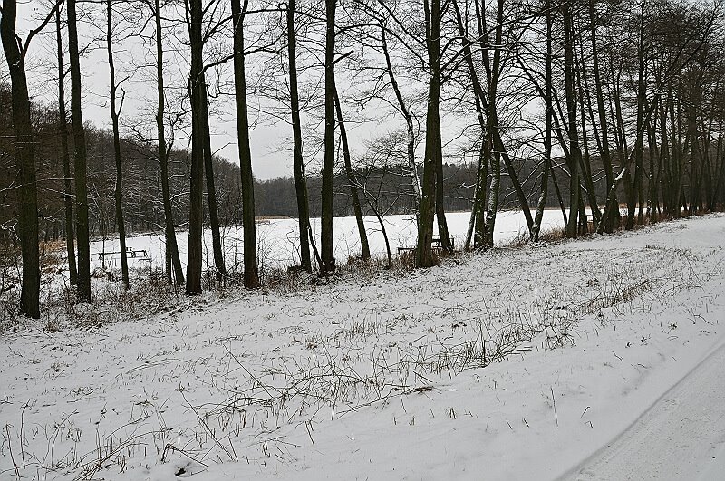 Czarne Gostynin /zk