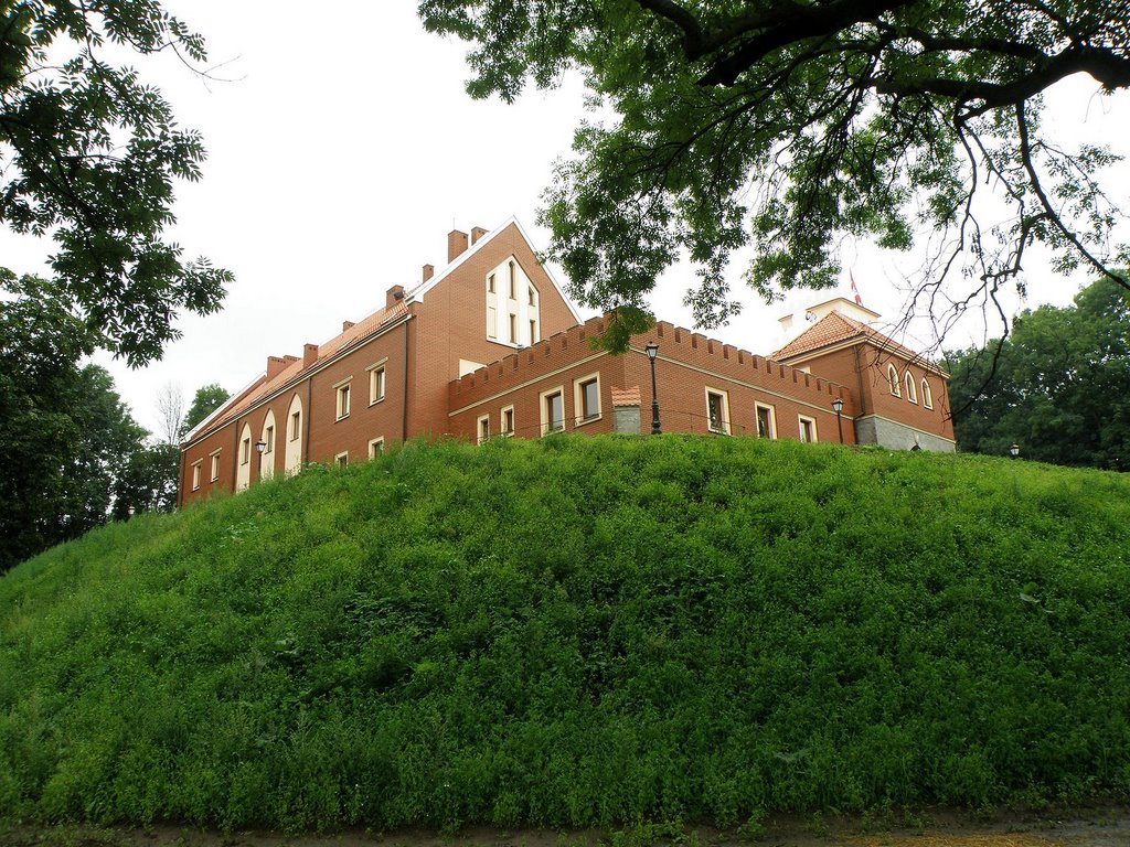 Gostynin castle