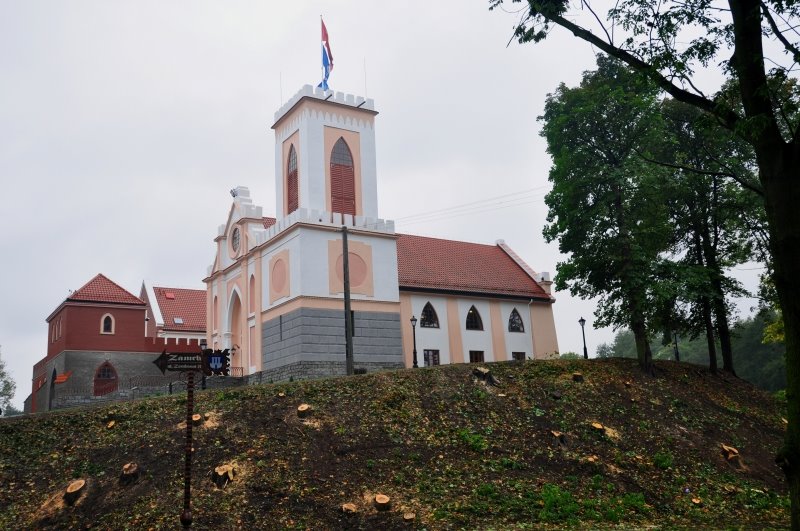 Zamek Gostynin /zk
