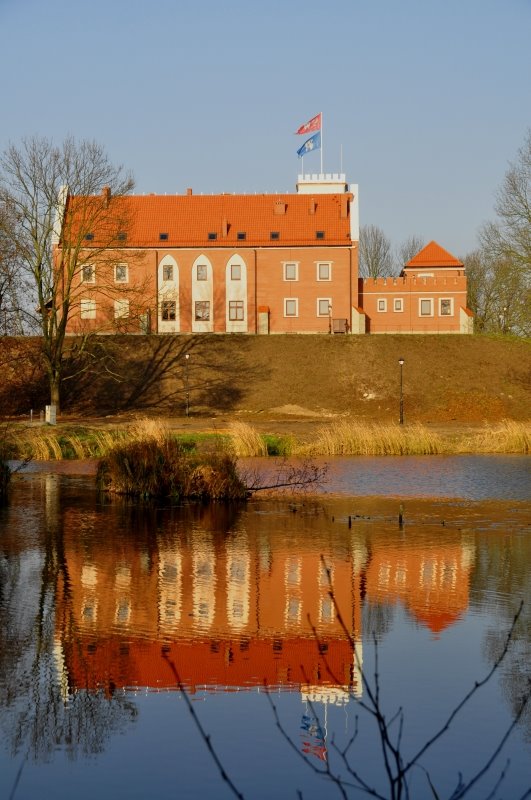 Zamek Gostynin /zk