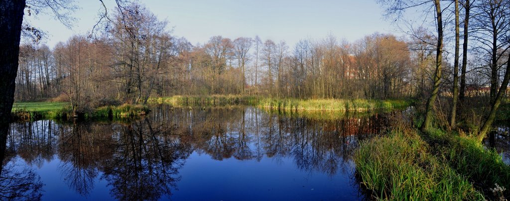 Zamek Gostynin /zk