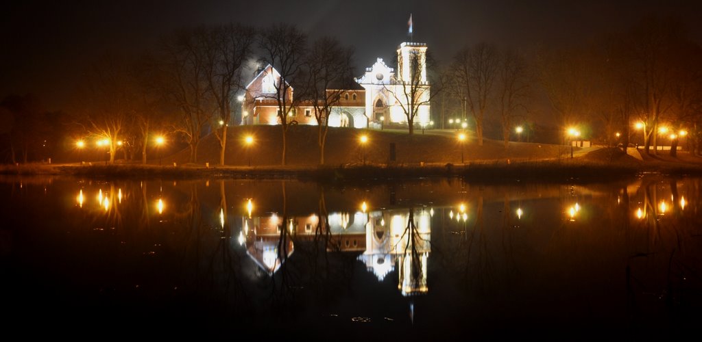 Zamek Gostynin /zk