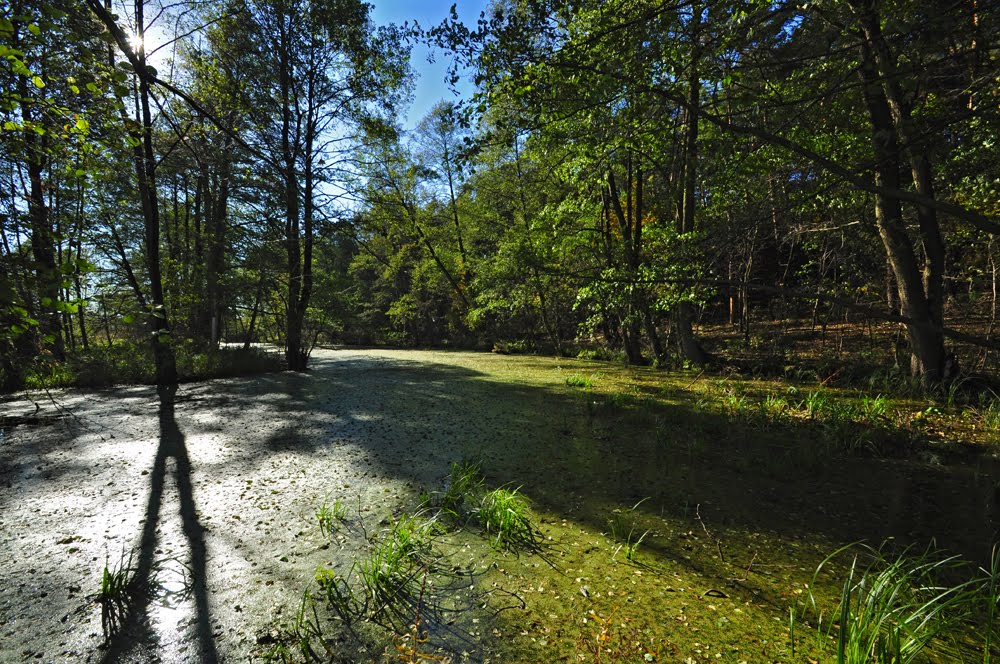 Natura Gostynin /zk