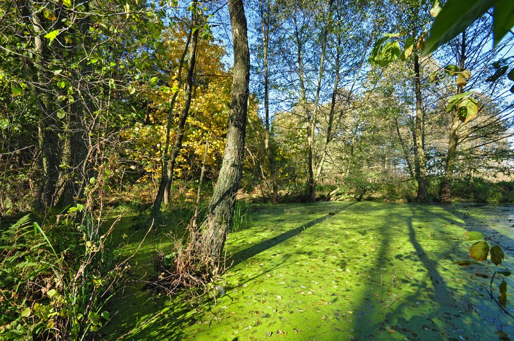 Natura Gostynin /zk