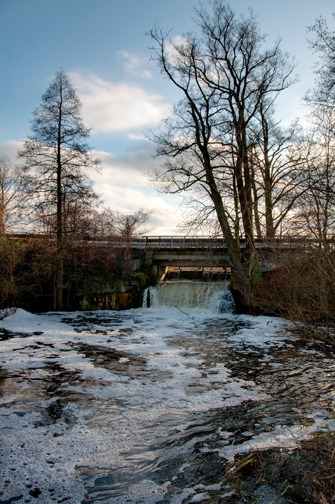 Żychlin