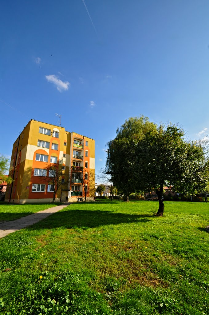 Gostynin /zk