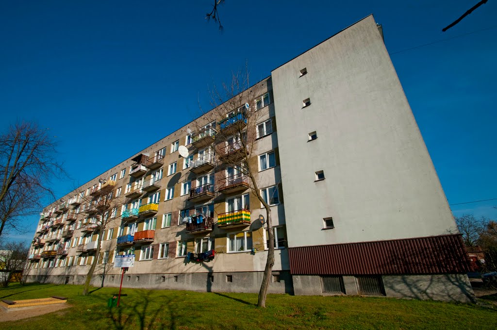 Gostynin /zk