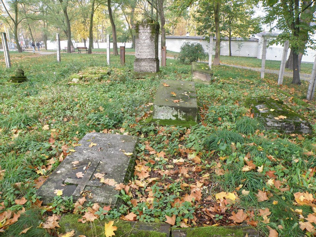 Groby rodziny Dehnów