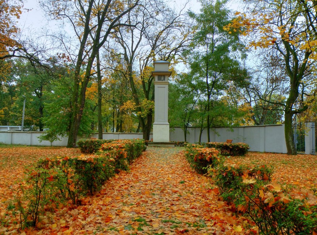 Kozienice, kolumna pamiątkowa w miejscu urodzin króla Zygmunta Starego z lat 1527-35