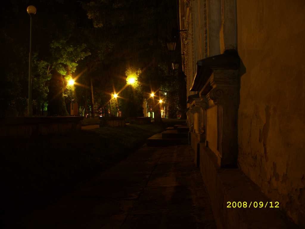 Noc w parku