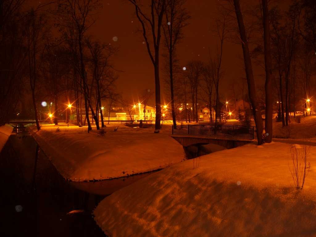 Zima w parku nocą