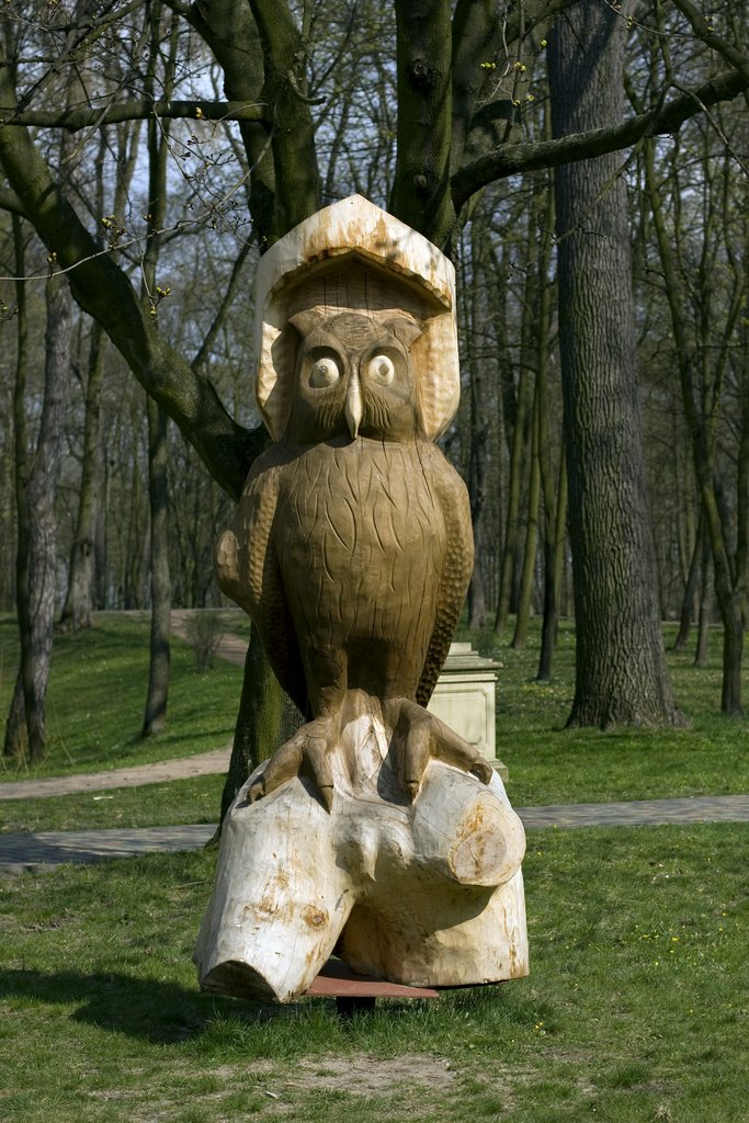 Kozienice Owl in park by AM