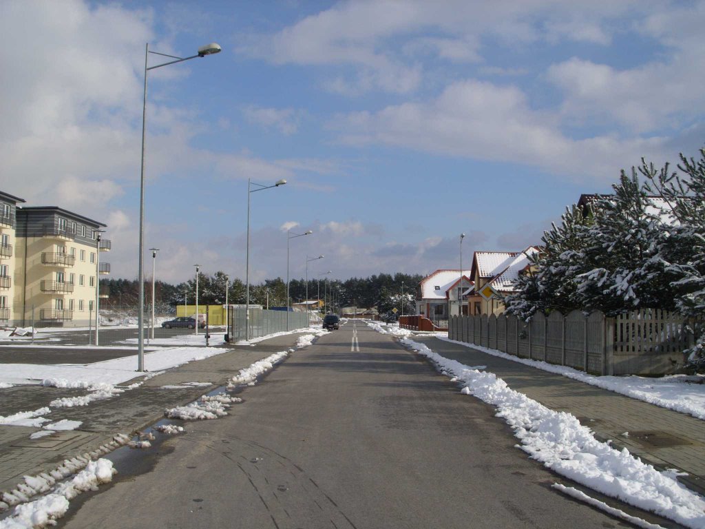 Ostatnie tchnienie zimy na Polesiu cz.2