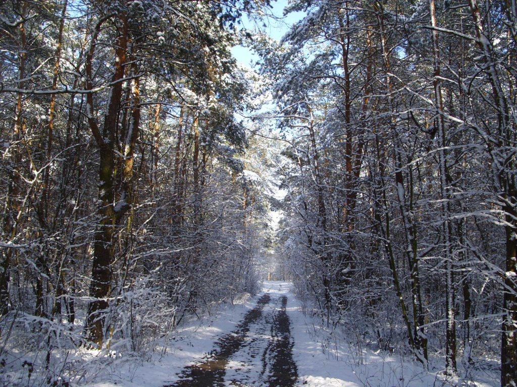 Ostatnie tchnienie zimy na Zdziczowie cz.2