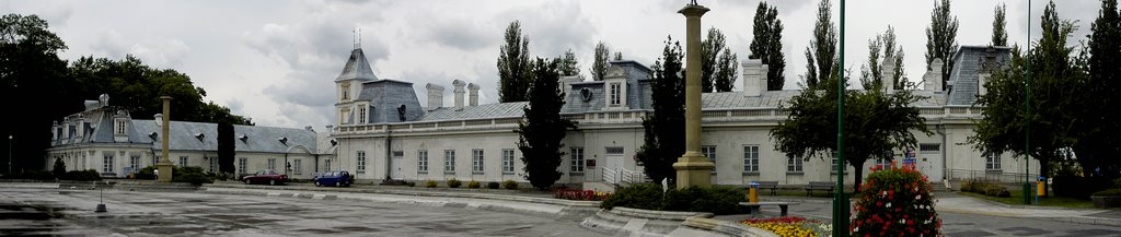 Pionki