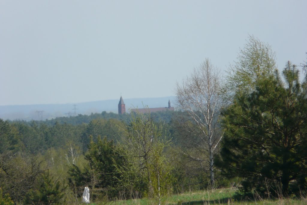 Kozienice, Kościół