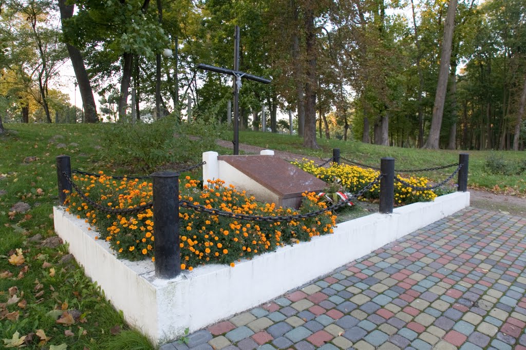 Park w Kozienicach