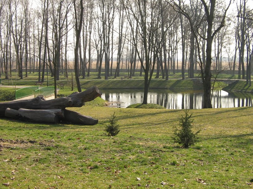 Kozienice park 1