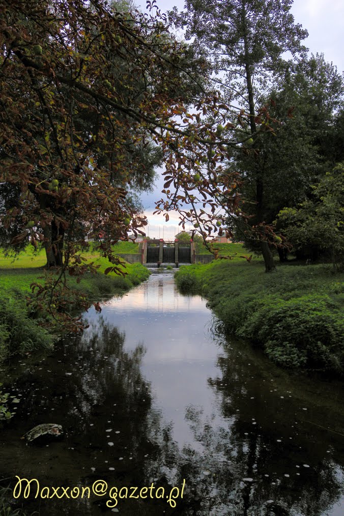 Kozienice
