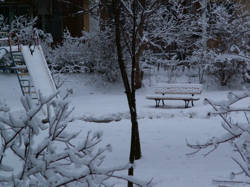 Husarska 15 courtyard
