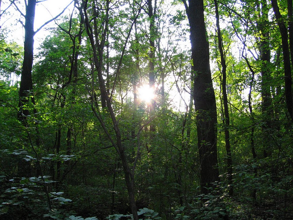 Legionowo-Mazowieckie-Poland