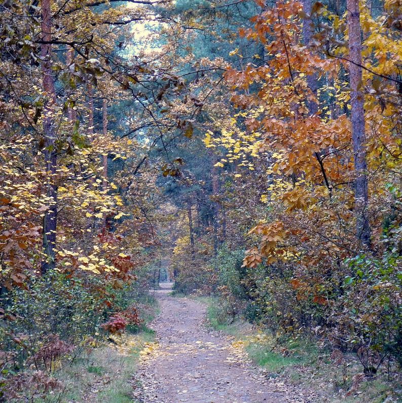 legionowo (pl) 2010-10-25