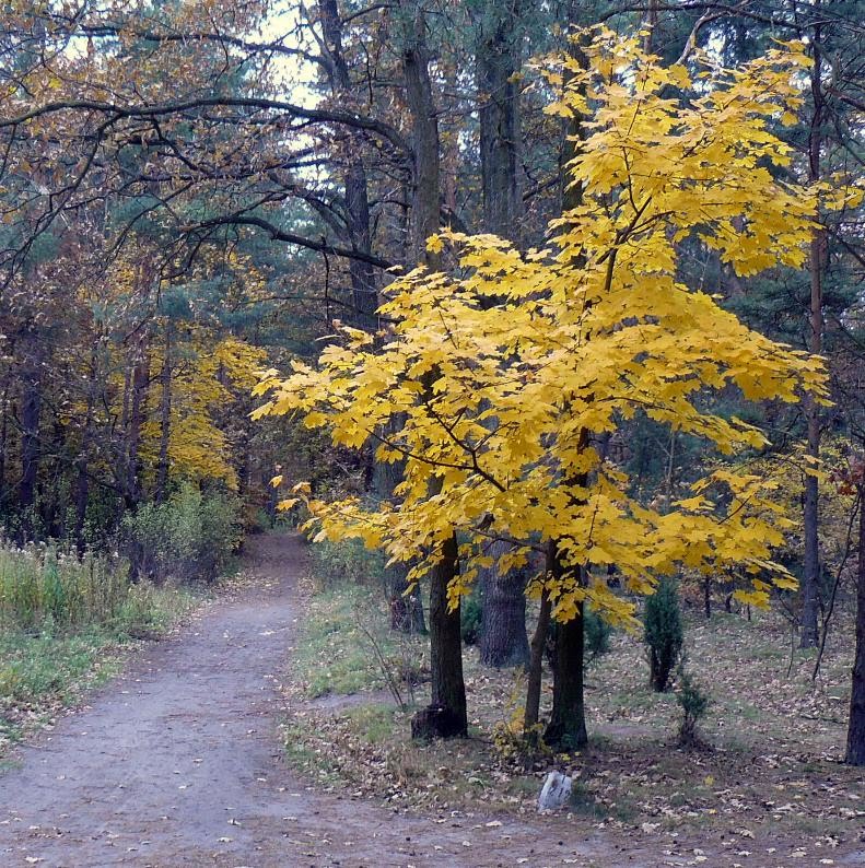 legionowo (pl) 2010-10-25