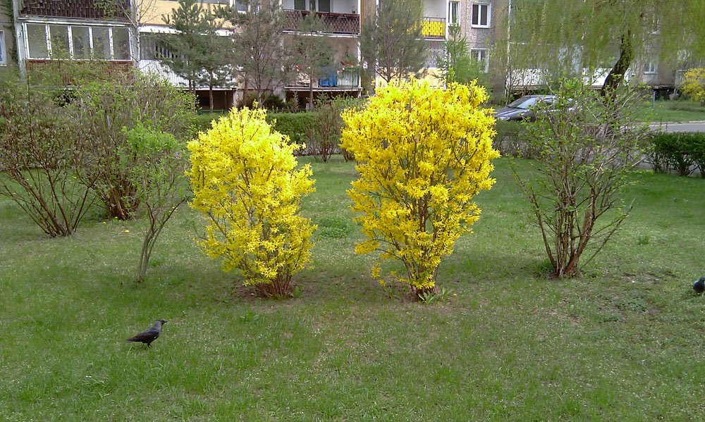 Praga Północ