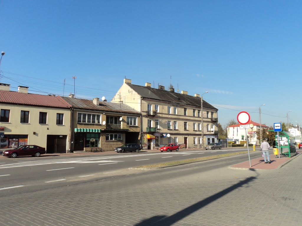 budynki przy ulicy Zegrzyńskiej