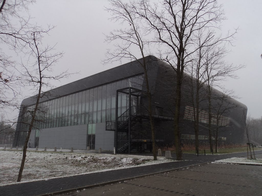 Arena