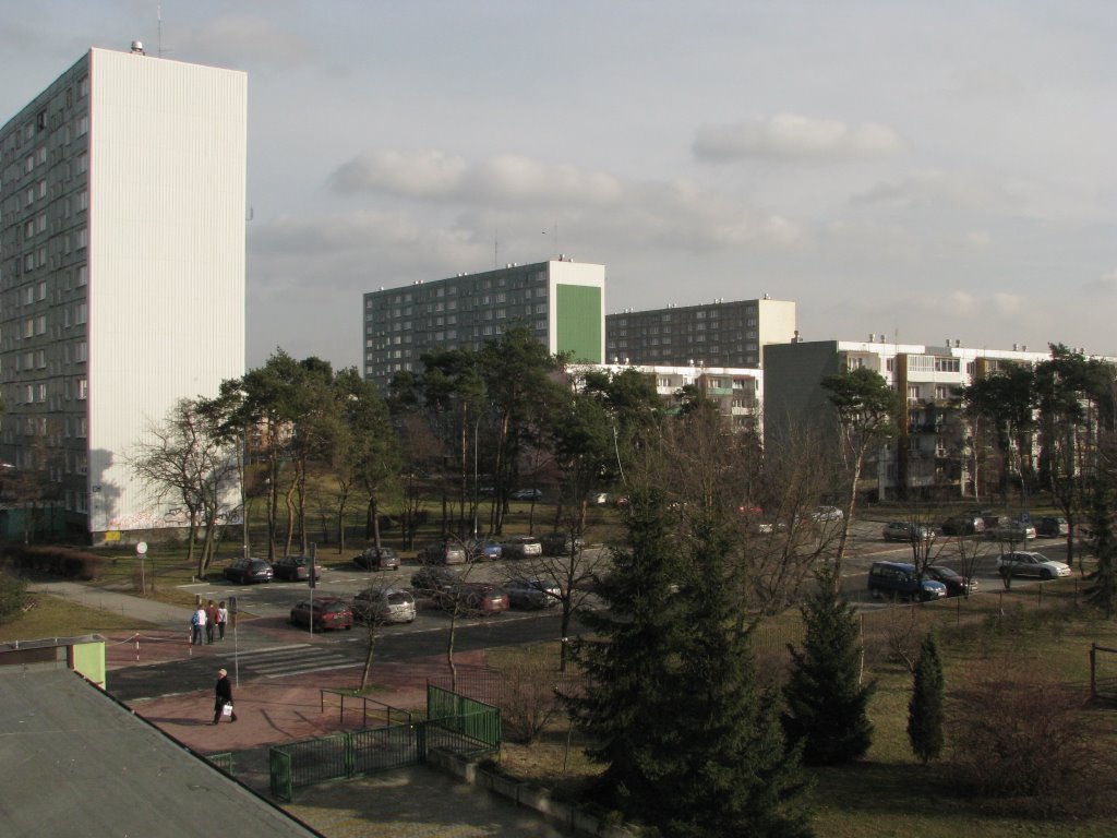 Widok z ZSO2 w kierunku Wschodnim