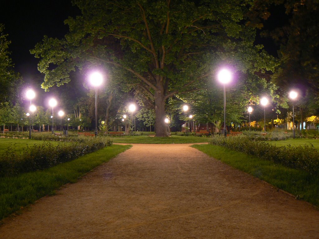 Mława - Park nocą