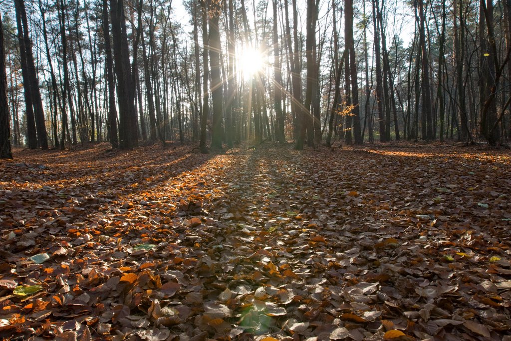 późna jesień - Święto Zmarłych