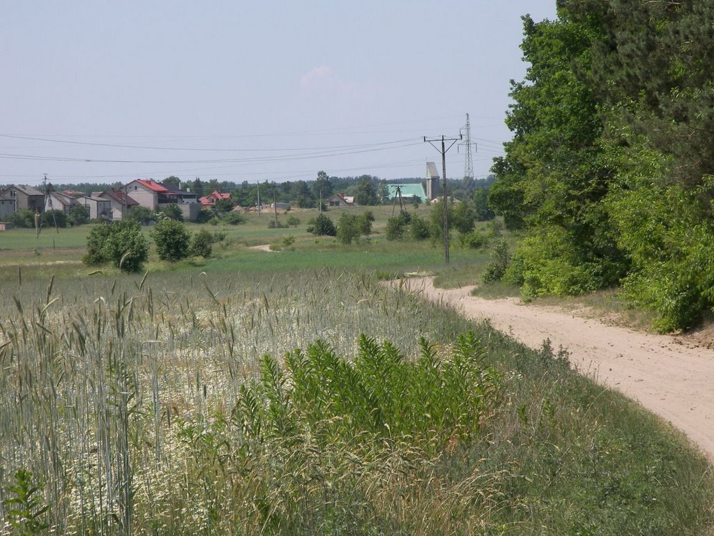 las była ul. podborna, teraz al. Marszałkowska