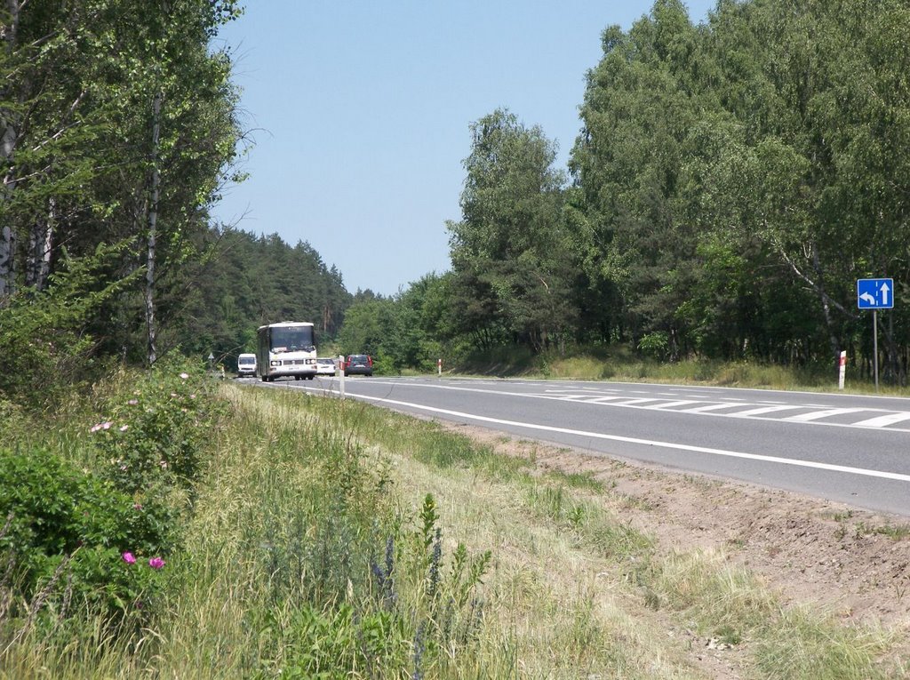 siódemka