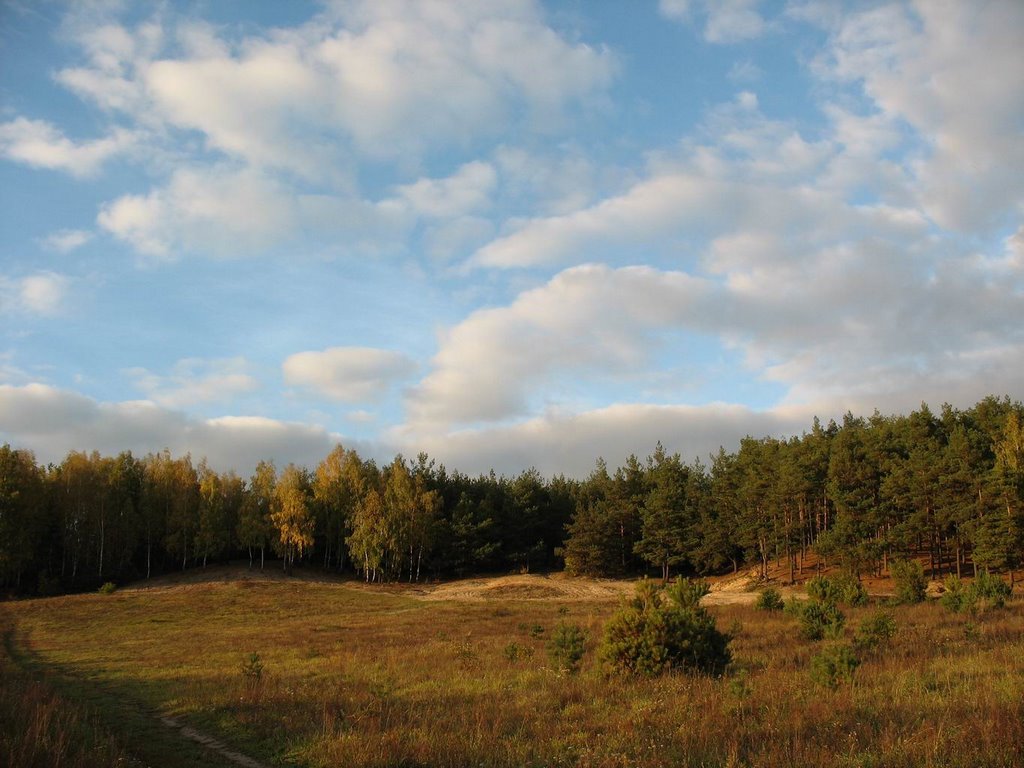 Łysa Góra