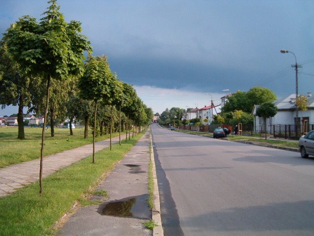 HPIM0698