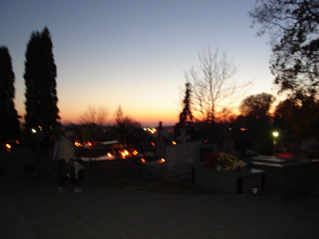 Old Cemetery in Mlawa
