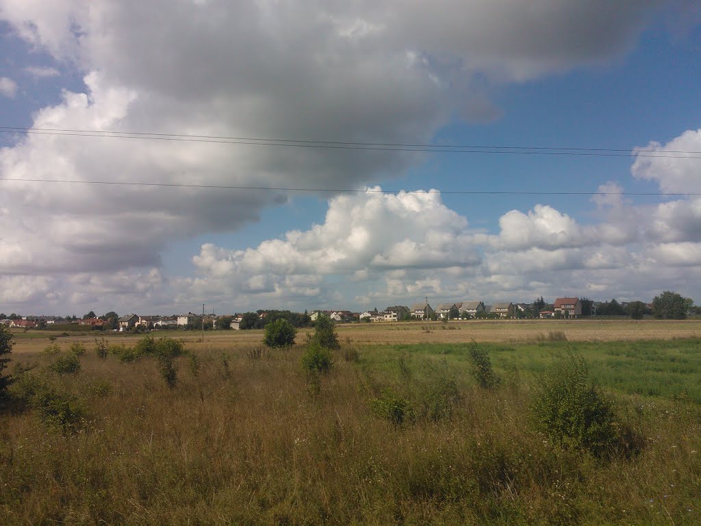Mława